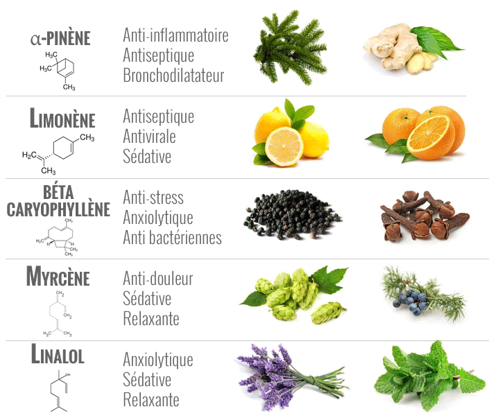 terpenes